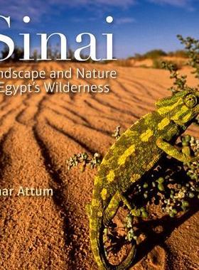 [预订]Sinai 9789774166617