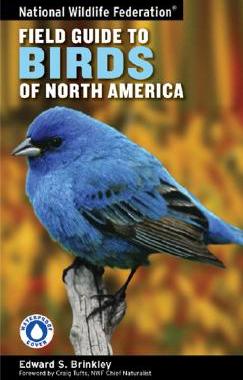 【预售】National Wildlife Federation Field Guide to Birds of North America