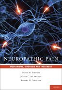 [预订]Neuropathic Pain 9780195394702