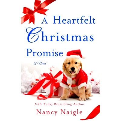 预订 Heartfelt Christmas Promise: 9781250312648