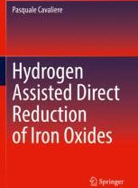 [预订]Hydrogen Assisted Direct Reduction of Iron Oxides 9783030980580