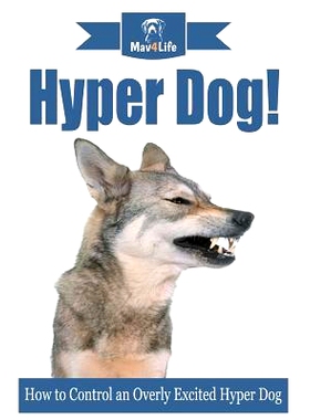 预订 Hyper Dog!: How to Control an Overly Excited Hyper Dog: 9781977644374