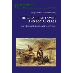 Responsibilities 9781788741668 Irish Social Class and Great Famine Representations 预订 Conflicts The