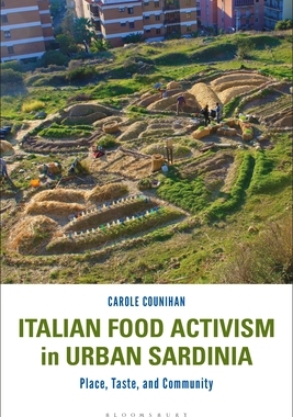 【预订】Italian Food Activism in Urban Sardinia: Place, Taste, and Community