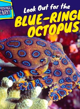预订 Look Out for the Blue-Ringed Octopus!: 9781499408775