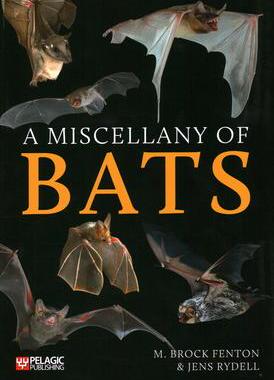 [预订]A Miscellany of Bats 9781784272944