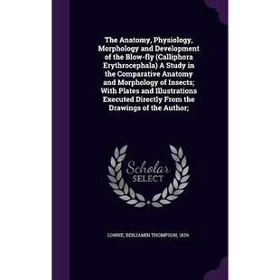 Development The and Physiology Study Erythrocephala the fly Morphology Calliphora Anatomy 预订 Comp Blow