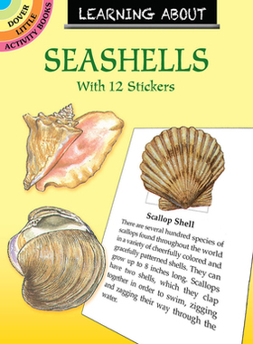【预订】Learning about Seashells