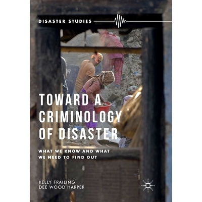 预订 Toward a Criminology of Disaster: What We Know and What We Need to Find Out: 9781349691661