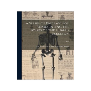 [预订]A Series of Engravings, Representing the Bones of the Human Skeleton: With the Skeletons of Some of  9781021639059