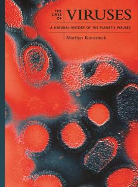 [预订]Viruses 9780691237596