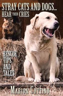 预订 Stray Cats and Dogs...Hear Their Cries: Rescue, Tips and Tales
