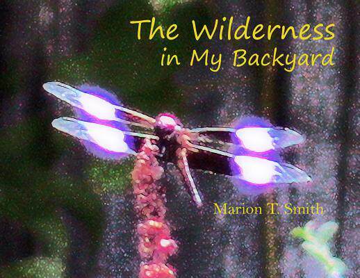 [预订]The Wilderness in My Backyard 9780578468877