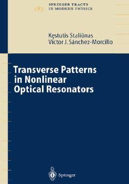 【预订】Transverse Patterns in Nonlinear Optical Resonators
