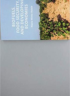 【预售】Biofuels, Food Security, and Developing Economies