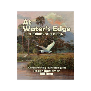 [预订]At Water’s Edge: The Birds of Florida 9781635619393