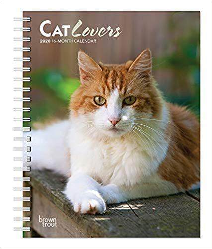 美国库房发货,通常付款后5-8周到货!