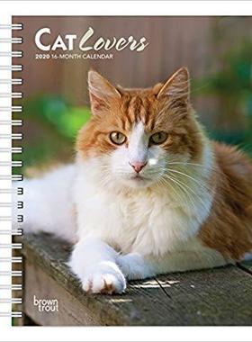 【预售】Cat Lovers 2020 Engagement
