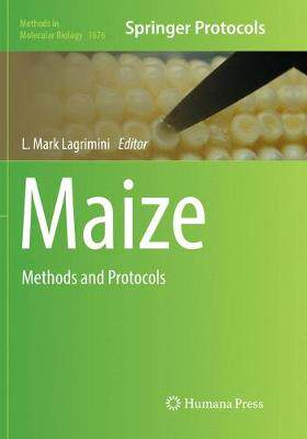【预订】Maize