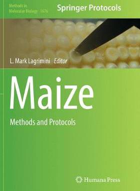【预订】Maize
