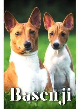 预订 Basenji: How to train your dog and raise from puppy correctly: 9798865018872