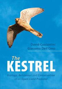 The Kestrel 预订