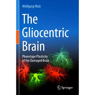 Phenotype Brain The 表型可塑性 the Damaged 預訂 膠質中心大腦：受損大腦 9783031481079 Gliocentric Plasticity
