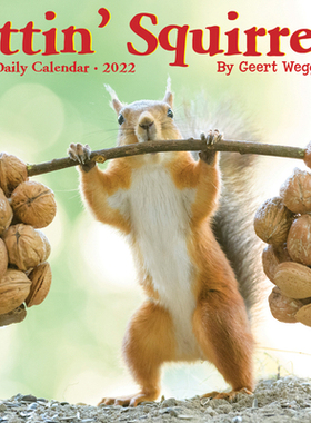 【预订】Gettin’ Squirrelly 2022 Box Calendar, Daily Desktop Animal Humor 9781549220517