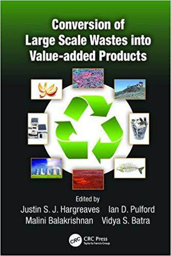 【预售】Conversion of Large Scale Wastes into Value-added Products