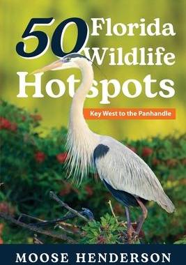 [预订]50 Florida Wildlife Hotspots: A Guide for Photographers and Wildlife Enthusiasts 9781649222206