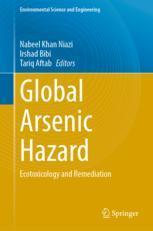 【预订】Global Arsenic Hazard 9783031163593