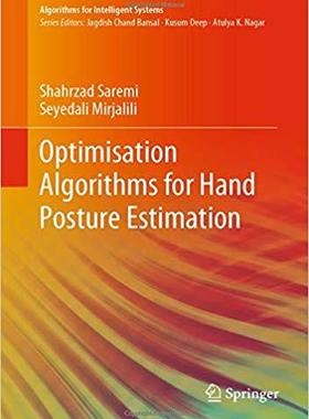 【预售】Optimization Algorithms for Hand Posture Estimation