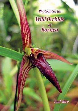 [预订]Photo Intro to: Wild Orchids of Borneo 9780987620613