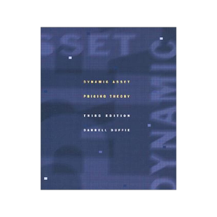 现货 Dynamic Asset Pricing Theory