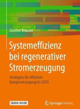 预订 Systemeffizienz bei regenerativer Stromerzeugung