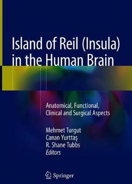 【预订】Island of Reil (Insula) in the Human Brain
