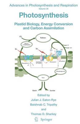 【预订】Photosynthesis