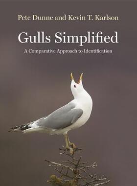 【预订】Gulls Simplified