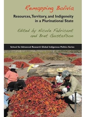 预订 Remapping Bolivia: Resources, Territory and Indigeneity in a Plurinational State 重新勘测玻利维亚：多民族国家中的资