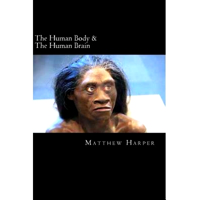 预订 The Human Body & The Human Brain: A Fascinating Book Containing Human Body & Brain Facts, Trivia, Images & Memory R