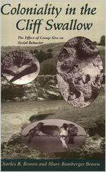 国外库房发货,通常付款后5-8周到货!