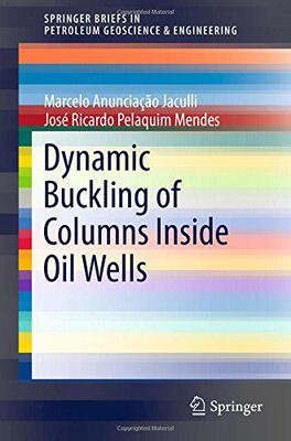 【预售】Dynamic Buckling of Columns Inside O...