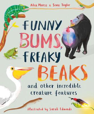 英文原版 动物趣知识 Sarah Edmonds插画 科普绘本 精装 Funny Bums, Freaky Beaks: and Other Incredible Creature Features