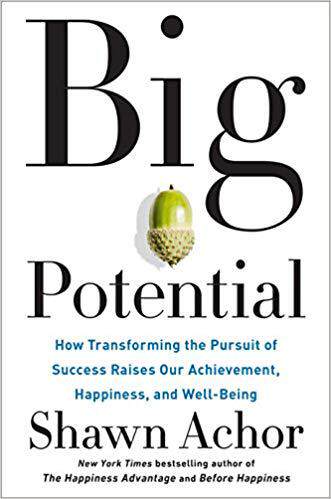 【预订】Big Potential: How Transforming the Pursuit of Success Raises Our Achievement, Happiness, and Well-Being