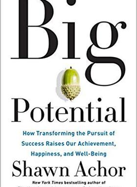 【预订】Big Potential: How Transforming the Pursuit of Success Raises Our Achievement, Happiness, and Well-Being