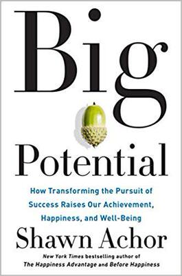 【预订】Big Potential: How Transforming the Pursuit of Success Raises Our Achievement, Happiness, and Well-Being