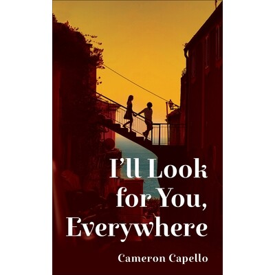 预订 I’ll Look for You, Everywhere: the highly anticipated and mesmerizing debut romance novel of summer 2024: the high