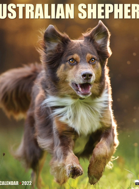 【预订】Just Australian Shepherds 2022 Wall Calendar (Dog Breed) 9781549216732