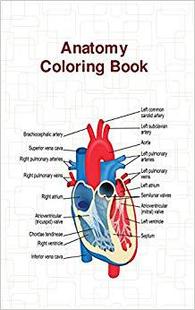 【预售】Anatomy Coloring Book
