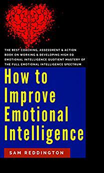 【预售】How to Improve Emotional Intelligenc...
